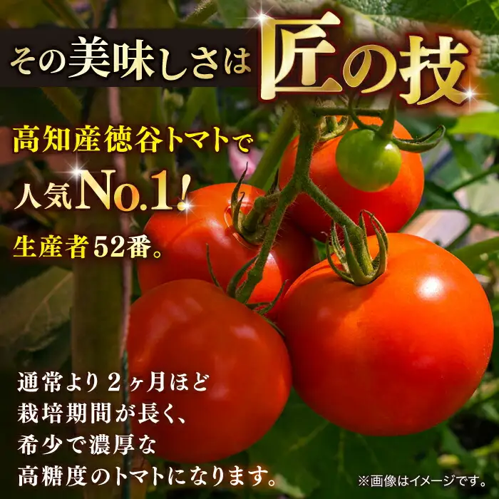 【先行予約】特選 徳谷トマト 約2kg 生産者52番 〈2027年1月中旬～2027年6月下旬頃発送〉/ トマト フルーツトマト 【フルーツショップオザキ】[ATAH014]