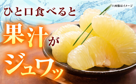 高知県産 水晶文旦 約3kg 6玉入 贈答用〈2026年9月下旬-11月上旬頃発送〉 /  高知 水晶 文旦 柑橘 果物 フルーツ くだもの 贈答 お中元 お歳暮 ギフト ぶんたん 【株式会社　四国健商】[ATAF032]