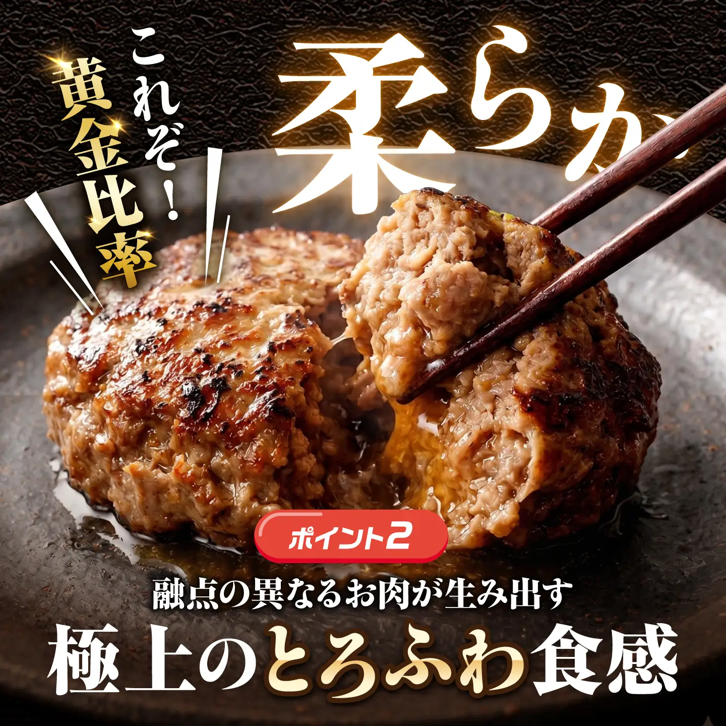 ハンバーグ12個 佐賀牛入り [FBX005]ハンバーグ