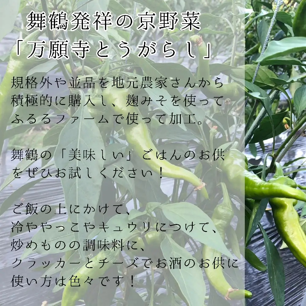 万願寺とうがらし味噌 150g×4瓶 おかず味噌