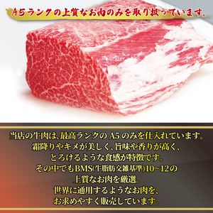 ハンバーグ 黒毛和牛 A5 ハンバーグ 140g×10個