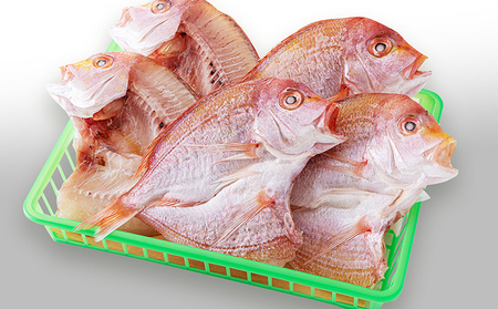 丹後のお魚屋さん一押しの絶品レンコダイの一夜干し 海鮮 おつまみ 干物 美味しい ご飯のお供 魚貝類 加工食品  myz02 myz11 myz17