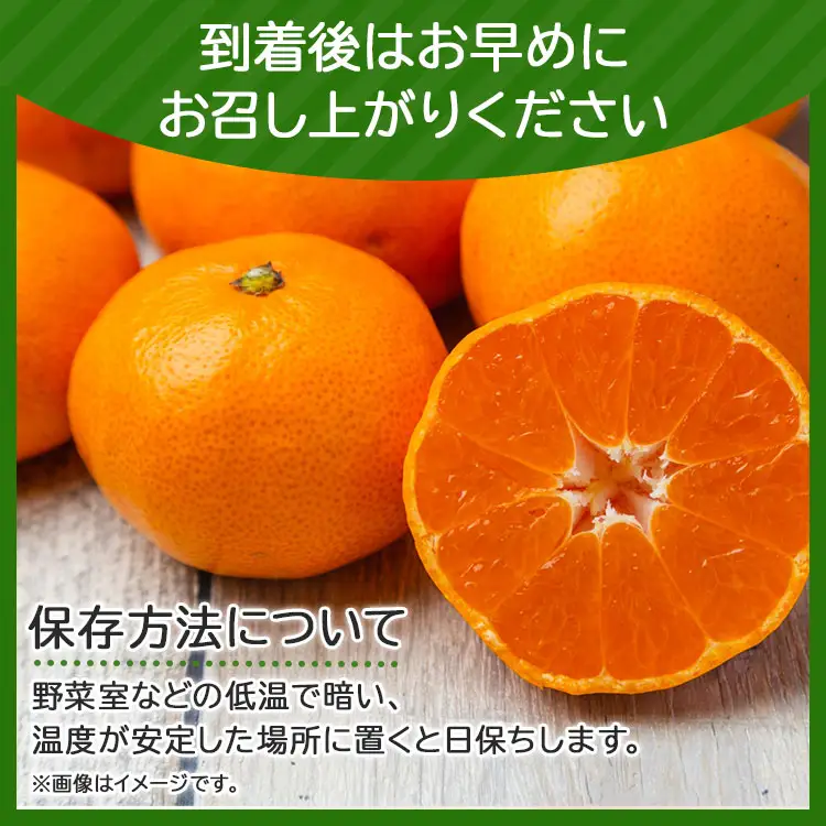 ≪先行受注≫山北みかん 約3kg ( 2S ～ Lサイズ ) ｜ みかん 甘い ku-0052