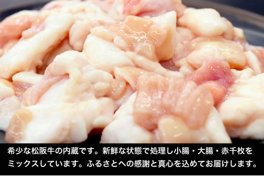 松阪牛 ホルモン【300g×2ﾊﾟｯｸ】牛肉 和牛 焼肉 I79