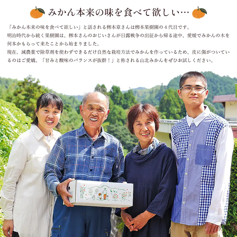 【令和8年発送】柳本果樹園の山北みかん 約3kg（露地・2S〜Mサイズ）みかん yg-0033