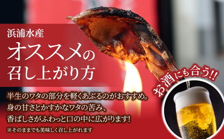 【6ヶ月定期便】ホタルイカ素干し 160g (20g×8袋 )　※北海道、沖縄、離島への配送不可