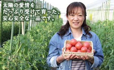 トマトジュース 無添加 ストレート 野菜ソムリエ うしの恵 フルトマセット4箱(トマト650g×3＋ジュース4本) - 野菜 トマト フルーツトマト 贈答用 プチギフト リコピン 甘い 酸味 おいしい サラダ 鍋 スープ 高知県 香南市 mj-0031