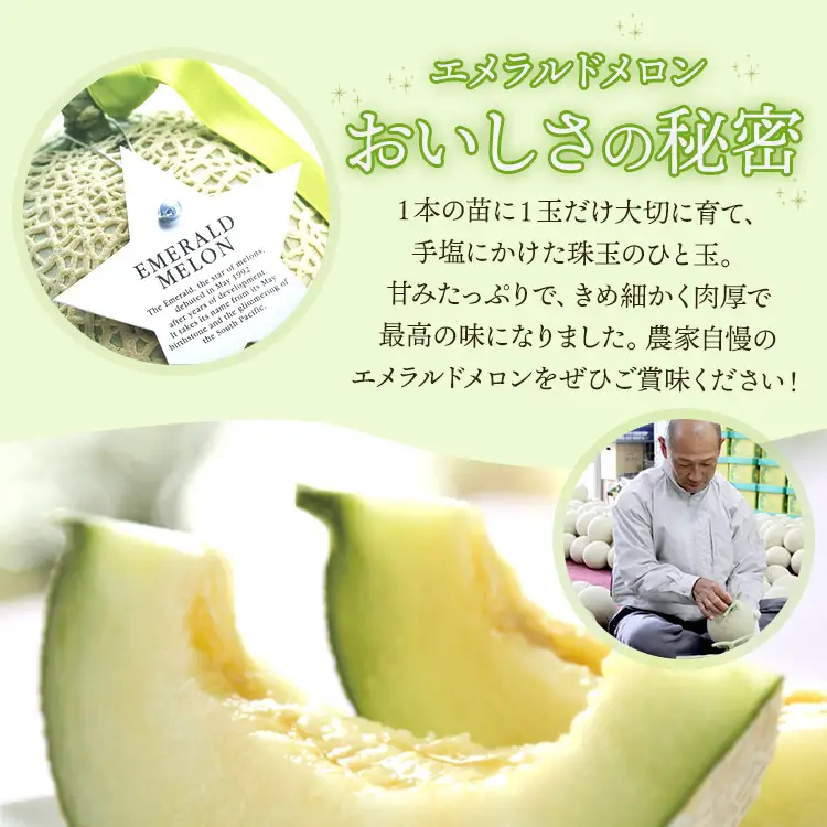 フルーツセット 計2玉 フルーツ エメラルドメロン ルナ・ピエナスイカ yu-0071