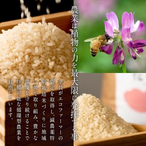 ＜先行予約受付中！2026年11月より発送開始予定＞【令和8年産】 減農薬特別栽培米 はなご縁 (計5kg) 米 ひのひかり ヒノヒカリ 精米 白米 大分県産 数量限定 大分県 佐伯市【HD129】【さいき本舗 城下堂】