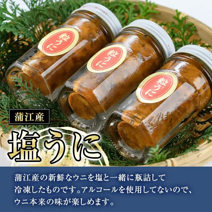 こだわりの塩うにセット(60g×3本)うに ウニ 雲丹 塩うに 冷凍 海の直売所 大分県 佐伯市【AS93】【海べ】