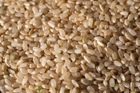 令和8年産　新米　仁淀ブルーの恵み「おち米」（玄米）20kg