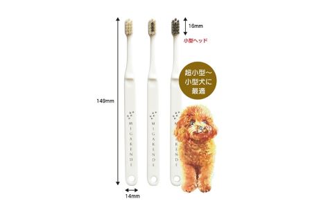 A159＜柔らかい天然毛歯ブラシ＞ミガケンデ 3本セット【歯ブラシ はぶらし 犬用 3本  天然毛 小型犬 口腔ケア ペット 日本製 大阪府 八尾】