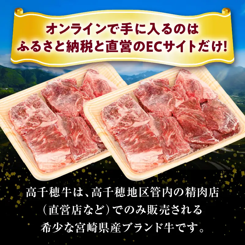 【3ヶ月定期便】 高千穂牛 すね肉 400g×2パック×3回 和牛 牛肉 肉 お肉 精肉 定期便 定期 国産牛 ブランド牛 黒毛和牛 すね 牛すね肉 A4等級以上 宮崎県産 国産 贈答 贈り物 煮込み料理 シチュー カレー 普段使い 簡単調理 _Tk002-t076