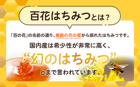 日本みつばち　 高千穂の純粋蜂蜜 300g×2本 セット 国産はちみつ 瓶 蜂蜜 調味料 百花蜂蜜 天然 純粋蜂蜜 自然蜜 セット 贈答 贈り物 ギフト プレゼント お祝い お取り寄せグルメ グルメ 高千穂産 国産 九州 _Tk006-001