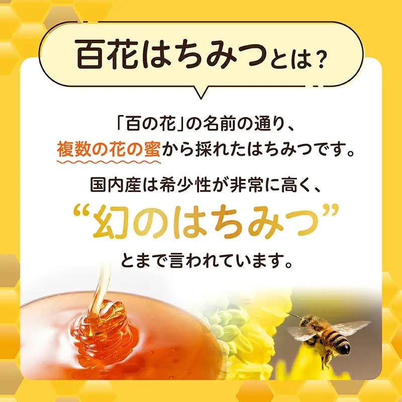 【3ヶ月定期便】日本みつばち 高千穂の純粋蜂蜜 300g×2本 セット 瓶 蜂蜜 はちみつ ハチミツ 百花蜜 自然蜜100% 調味料 定期便 定期 はちみつセット 瓶 贈答 贈り物 ギフト プレゼント おすそ分け 普段使い セット 高千穂産 国産 _Tk006-t018
