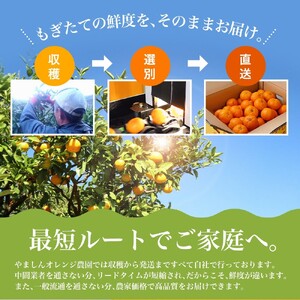 【2026年11月発送予約分】＼光センサー選別／農家直送 こだわりの完熟有田みかん 約8kg＋150g(傷み補償分) 【ご家庭用】【11月発送】【nuk100-11C】