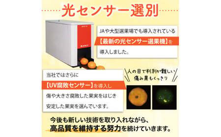 【11月発送予約分】こだわりの完熟有田みかん 約10kg＋150g(傷み補償分) 【ご家庭用】【nuk101-11C】