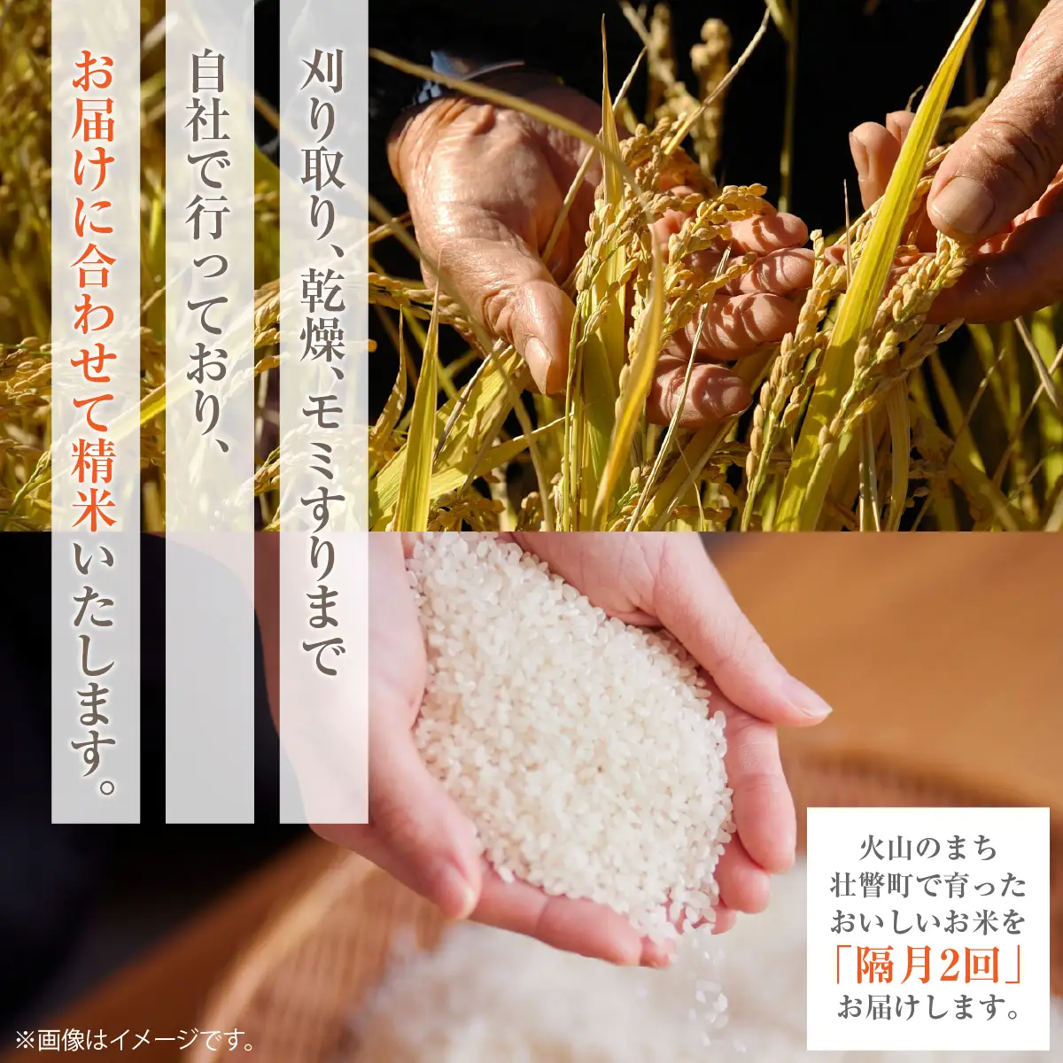 【令和8年産 新米】ななつぼし 新山米 5kg×2袋 10kg 隔月2回お届け SBTC001