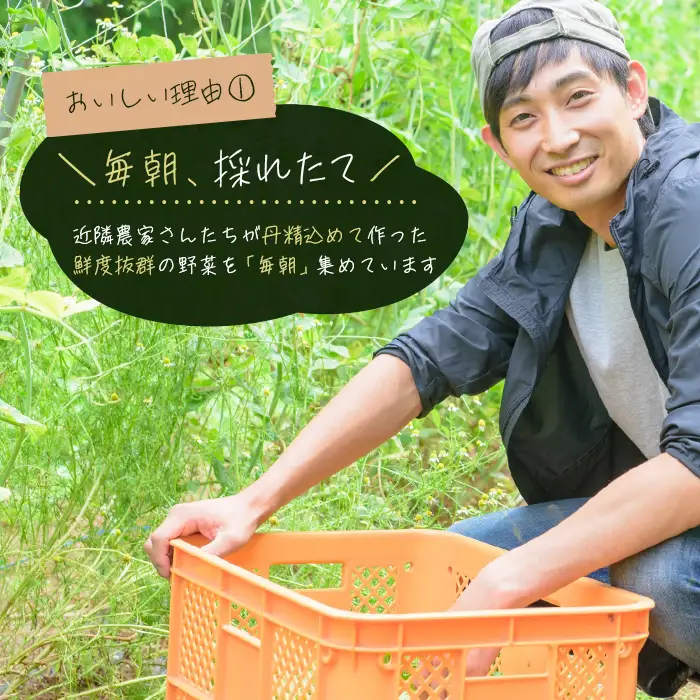 【定期便】淡路島の旬の野菜セット 3ヶ月コース　野菜詰め合わせ