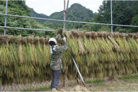 雑穀 黒米入り 古代米ブレンド 200g×5袋セット｜新潟県阿賀町産 雑穀米 送料無料 健康食品