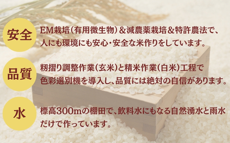 【令和8年 先行予約 定期便】魚沼産コシヒカリ棚田米 玄米 60kg (10キロ×6回) 佐藤農場| おこめ 玄米 小千谷 新潟