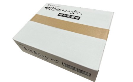 魚沼産コシヒカリ雪中貯蔵米パック定期便12個×5回 0002-0211DB00-01 ごはん