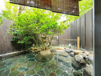 修善寺温泉【新井旅館】個室で休憩　昼食会席と日帰り入浴ペア券