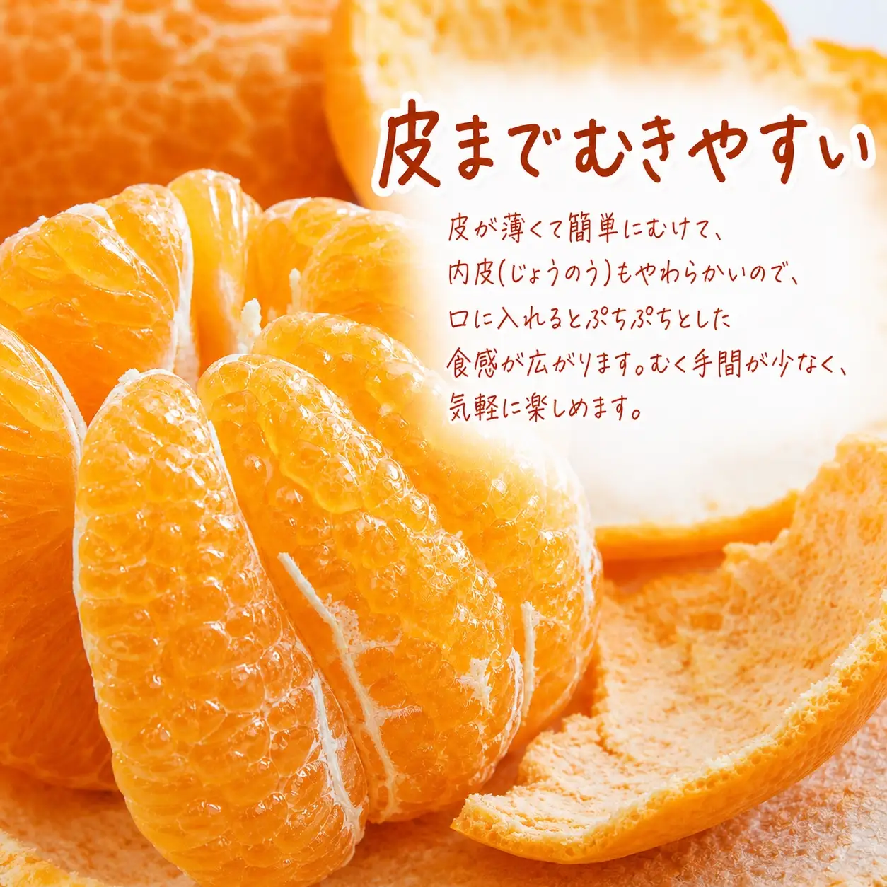 果肉ぷりぷり! 完熟はるみ 約5kg　※2027年1月下旬頃～2027年2月上旬頃に順次発送予定(お届け日指定不可) 【uot732】