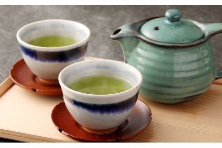 福岡県産 八女茶 100％  カップ用 タグ付 ティーバッグ 2種セット