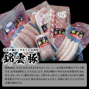 【ブランド豚肉】お米育ちの錦雲豚　絶品！生ハムとソーセージセット_FN1002