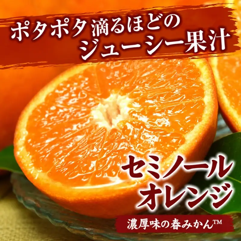 セミノールオレンジ 約5kg/サイズおまかせ　※2027年4月中旬～2027年5月下旬頃に順次発送予定(お届け日指定不可)　紀伊国屋文左衛門本舗　【kstb481B】