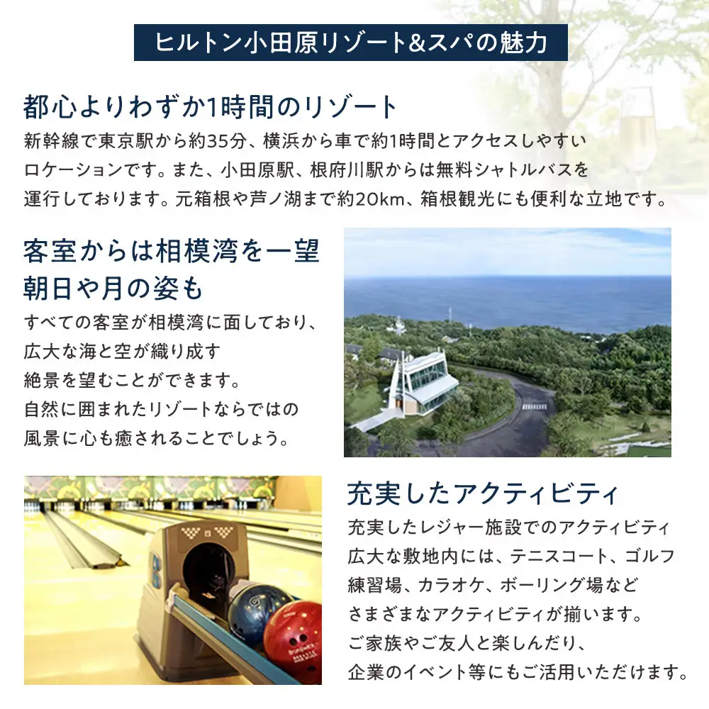 【チケット有効期限延長！】ヒルトン・スーペリア・ツインルーム宿泊プラン　1泊夕朝食付き　平日　＜1組2名様＞★オーシャンビュー！天然温泉大浴場、プール施設利用含む【オーシャンビュー フィットネス 天然温泉大浴場 バーデゾーン ヒルトン 神奈川県 小田原市 】
