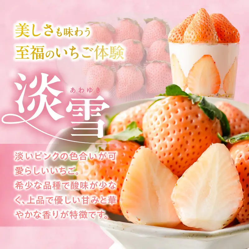 特別栽培 白いちご 淡雪と旬のいちご詰め合わせ紅白セット （ふくおかエコ農産物） 約500g_特別栽培 白いちご 旬 いちご 詰め合わせ 紅白セット 一箱2パック入り 約500g ふくおかエコ農産物 旬のいちご 食べ比べ ギフト 最適 久留米市内 生産 7品種 淡雪 あまおう 恋みのり かおりの 紅ほっぺ よつぼし あまえくぼ いちごきらり 福岡県 送料無料 〔Fi109〕