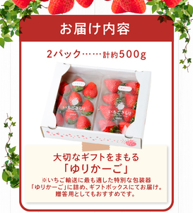 特別栽培 旬のいちご詰め合わせ （ふくおかエコ農産物） 約500g_特別栽培 旬 いちご 2種 詰め合わせ 食べ比べ セット 約 500g 冷蔵 ふくおかエコ農産物 新鮮 福岡県産 あまおう 恋みのり かおりの 紅ほっぺ よつぼし すず あまえくぼ ギフトボックス 贈答用 ゆりかーご フルーツ 果物 お取り寄せ 福岡県 久留米市 送料無料 〔Fi110〕