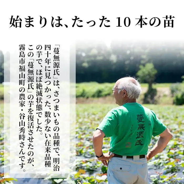 C-008 本格芋焼酎「蔓無源氏 原酒2本」【かれがぁの焼酎屋谷山酒店】焼酎 芋焼酎 本格芋焼酎 本格焼酎 酒 宅飲み 家飲み 詰め合わせ
