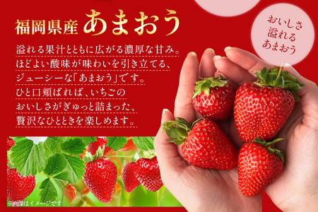 いちご あまおう デラックス 2p いちご 【2027年発送】