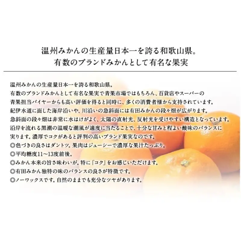 【予約受付】ブランド有田みかん　秀品5キロ/サイズお任せ　※2026年10月中旬～2027年1月中旬頃に順次発送予定（お届け日指定不可）　紀伊国屋文左衛門本舗【kstb140C】