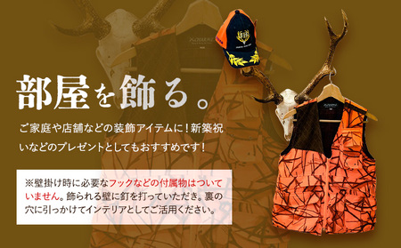 ニホンジカ頭骨付き角　壁掛け 大