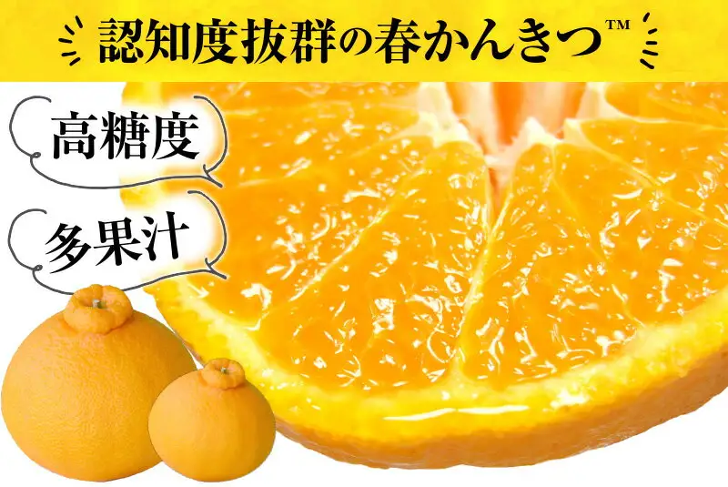 デコ不知火 約5kg/サイズおまかせ　※2027年2月上旬～2027年4月上旬頃に順次発送予定(お届け日指定不可)　紀伊国屋文左衛門本舗　【kstb420A】