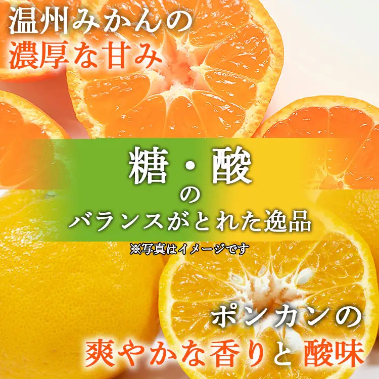 間城農園 100％ストレートジュース 720ml 2本(温州みかん×1本、みかんとポンカンのミックス×1本)無添加 贈答・ギフト対応可 ms-0048