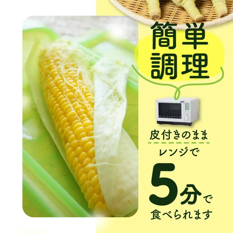 ＼寄附額改定／ドルチェドリーム 約2kg(高松市)【2027-6月上旬～2027-7月上旬配送】