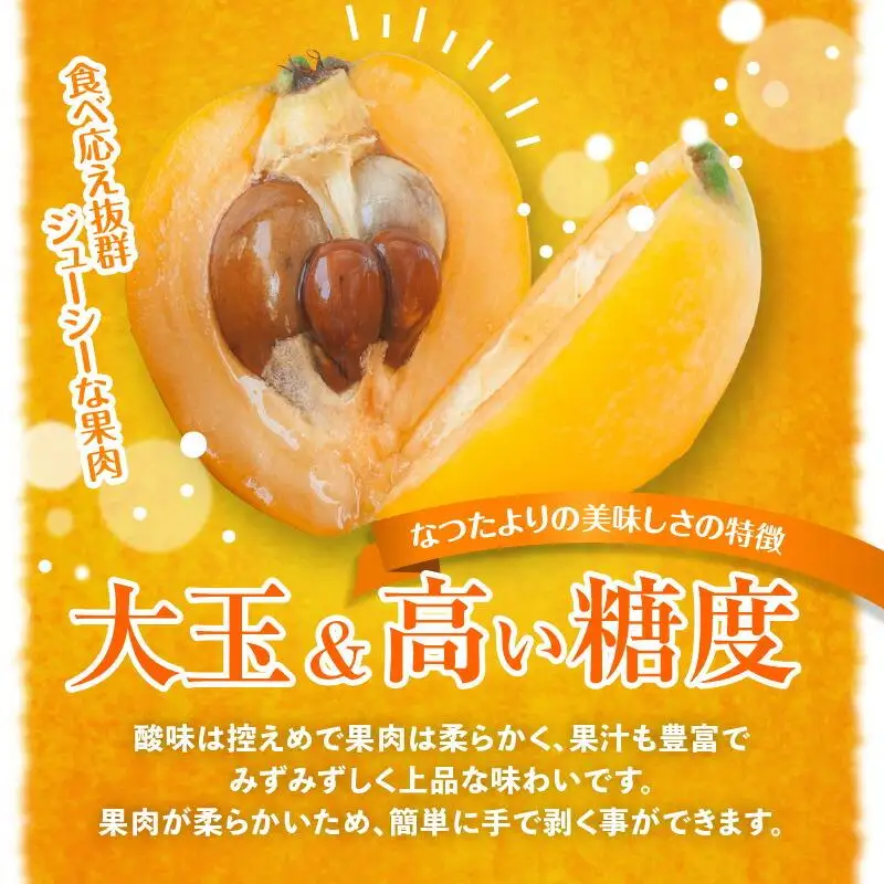 なつたよりびわ　約1kg (約250g×4パック)【2027-5月中旬～2027-6月中旬配送】