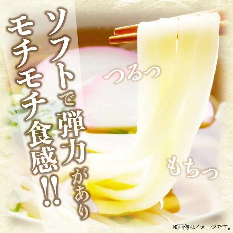 香川県産小麦100%半生うどん(6人前)、小豆島産オリーブ葉使用オリーブうどん(6人前)、濃縮つゆ付き
