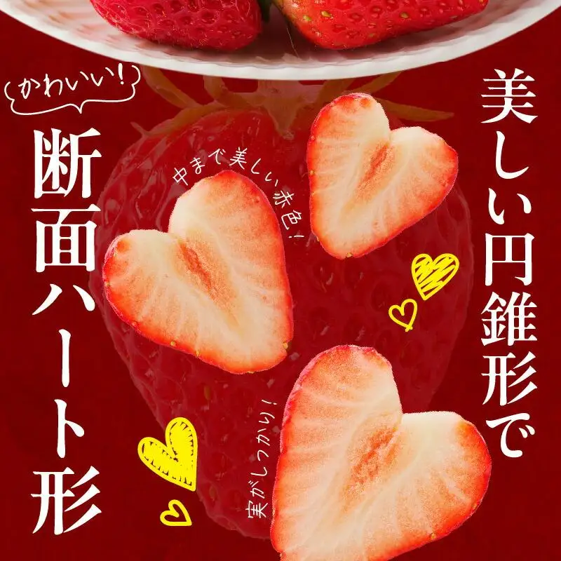 希少ないちご ケーキ用 女峰いちご 約2.2kg【2027年1月上旬～2027年5月下旬配送】