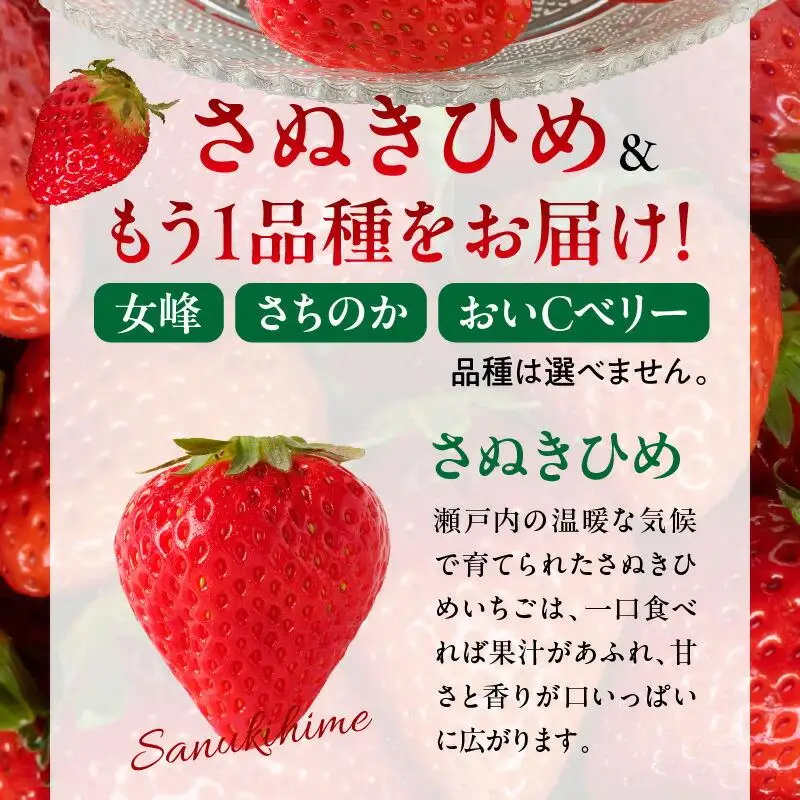 高松市産いちご食べ比べセット 約2kg【2027-1月上旬～2027-6月中旬配送】