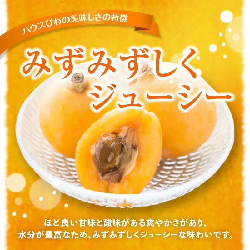 ハウスびわ 約2kg【2026年4月中旬～2026年5月上旬配送】| びわ