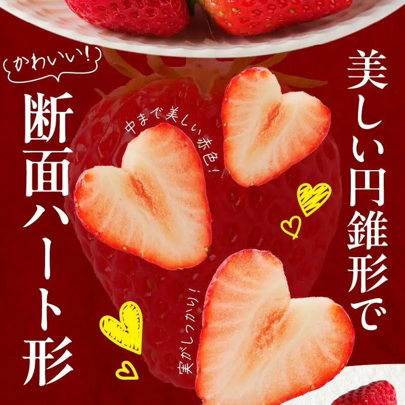 高松産季節の果物＜希少品種　女峰いちご＞約250g×8パック入り【2027年1月中旬～2027年6月中旬配送】