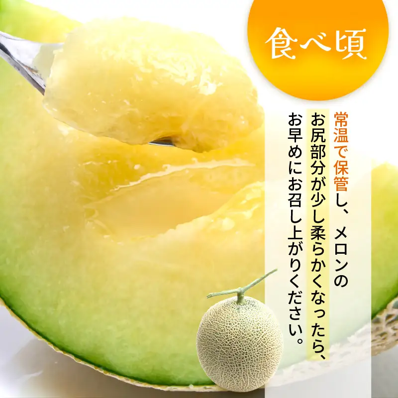 【先行予約】メロンの王様！アールスメロン 2玉入 2～3L 〈贈答用にも最適な最高級メロン〉／ 期間限定 果物 フルーツ 高級メロン マスクメロン 青肉 産地直送 ※2027年7月上旬より順次発送 [aw003-a011]