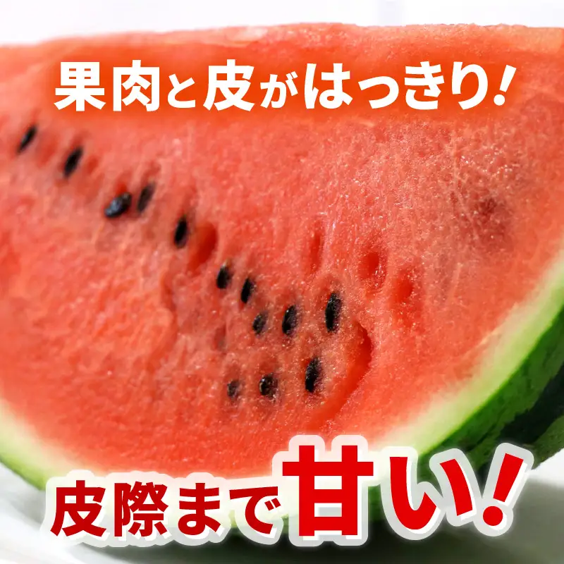 【先行予約】大玉スイカ「夏の天使」 1玉入 （L～2L）抜群の糖度で甘い！／ 期間限定 果物 フルーツ 西瓜 産地直送 ※2027年7月中旬より順次発送 [aw003-a002]