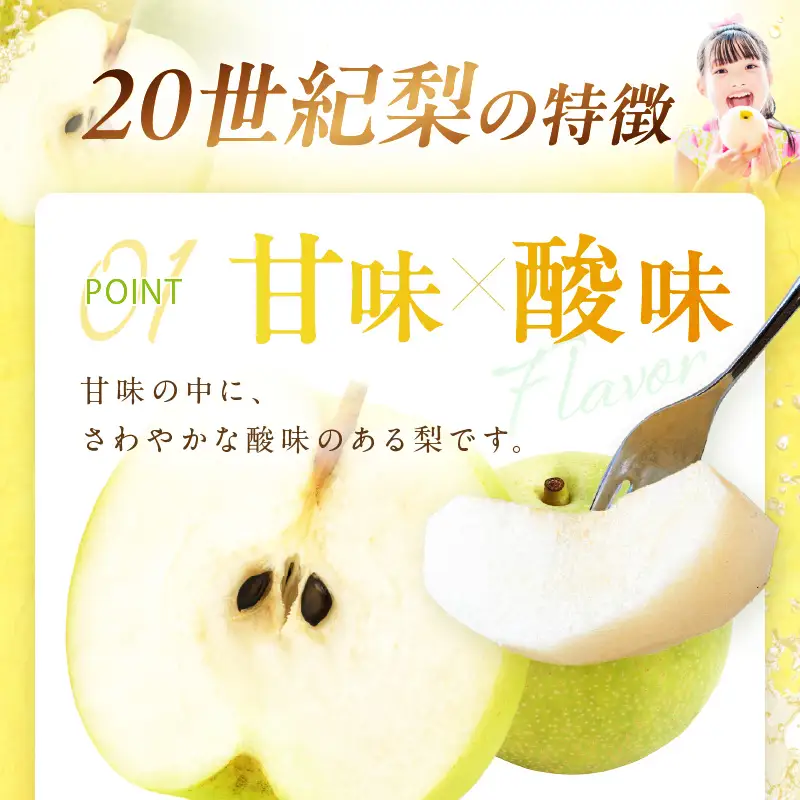 梨 【先行予約／数量限定600】20世紀梨（秀品） 5kg（10～16玉）（2026年8月下旬～発送）フルーツ 果物 梨 なし ナシ 20世紀梨 二十世紀梨 贈答向け